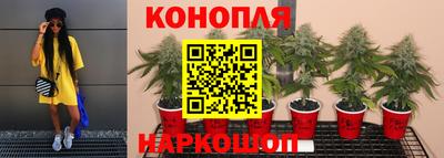 твердый Малоярославец