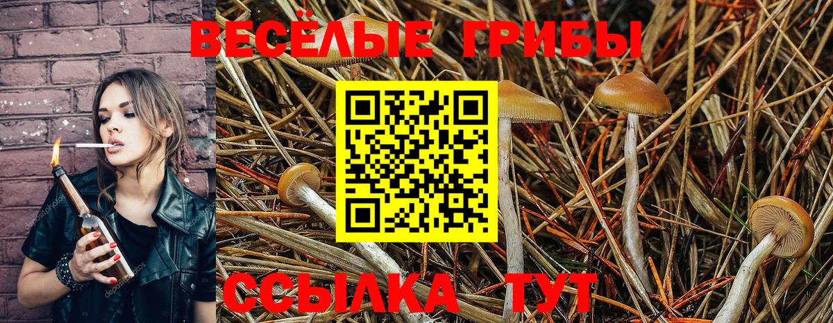 Галлюциногенные грибы мицелий  Псилоцибиновые грибы мицелий  Вход с VPN  наркота  Элиста 