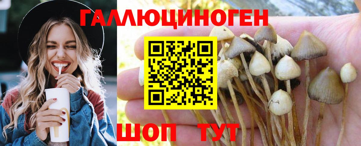 Меф   Альфа ПВП СОЛЬ кристаллы  КОКАИН  Вход с VPN  Конопля  ГАШИШ  Элиста  Cocaine 