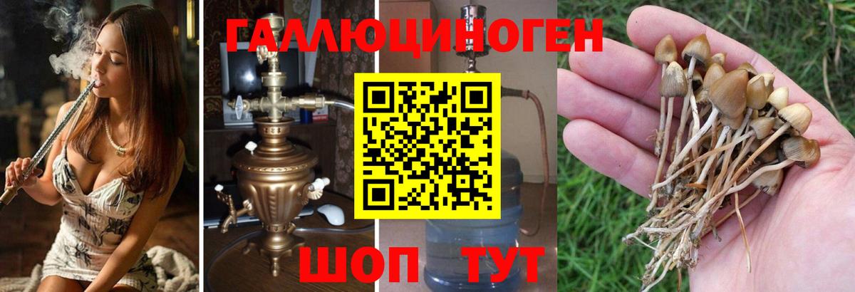 Псилоцибиновые грибы ЛСД Элиста
